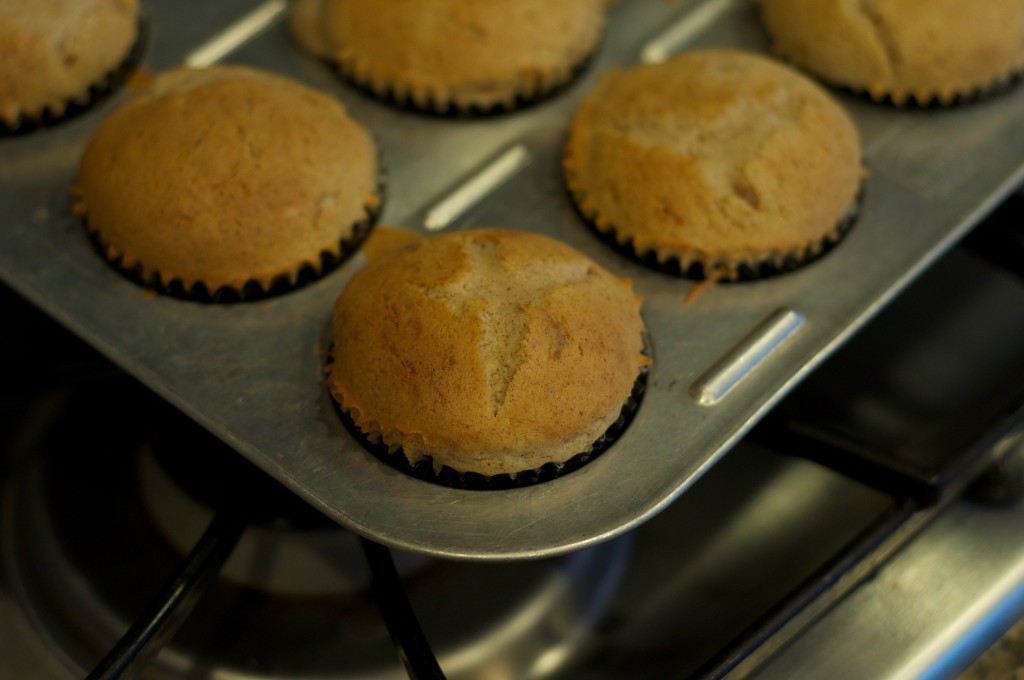 Snickerdoodle Cupcakes 1