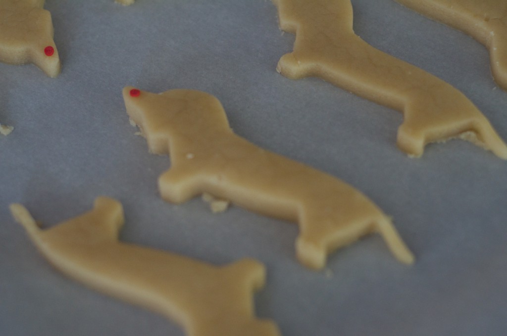 Dachshund Cookies 1